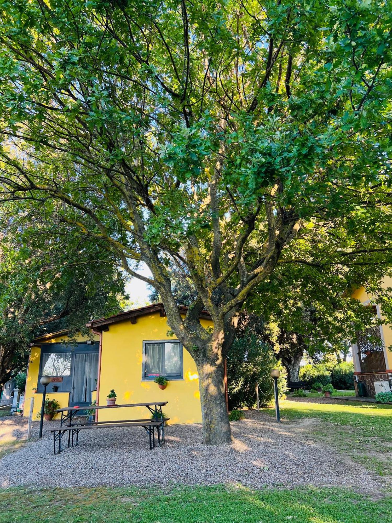 페스키아 로마나 Il Melarancio B&B 외부 사진