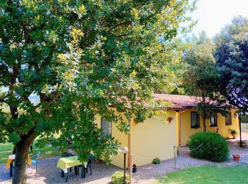 페스키아 로마나 Il Melarancio B&B 외부 사진
